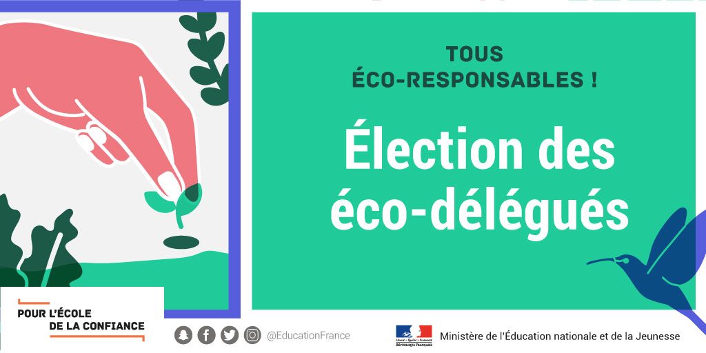 Election des éco-délégués