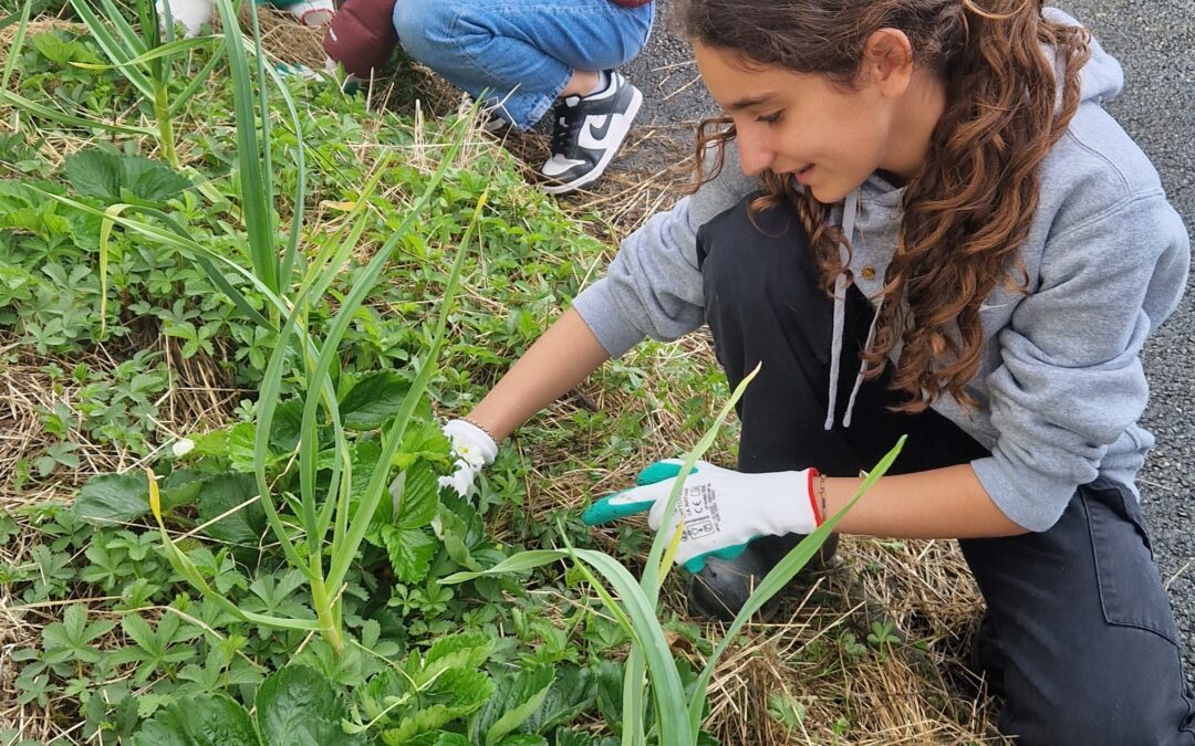 Projet Manuterra: au cœur du printemps